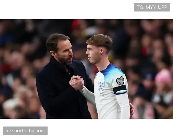 帕尔默战术角色与比赛影响力解析